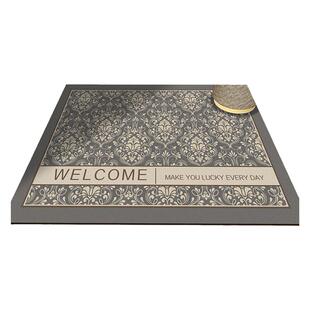 入户门地垫2026新款高端皮革免洗可擦防水防滑门口进门脚垫家用毯