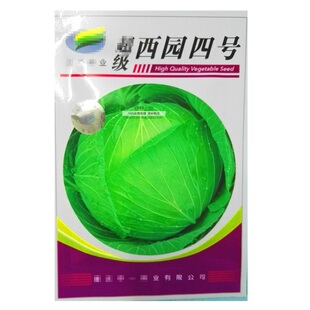 重庆西园圆四号京丰一号夏秋甘蓝种子中早熟扁平大松圆白菜包包菜
