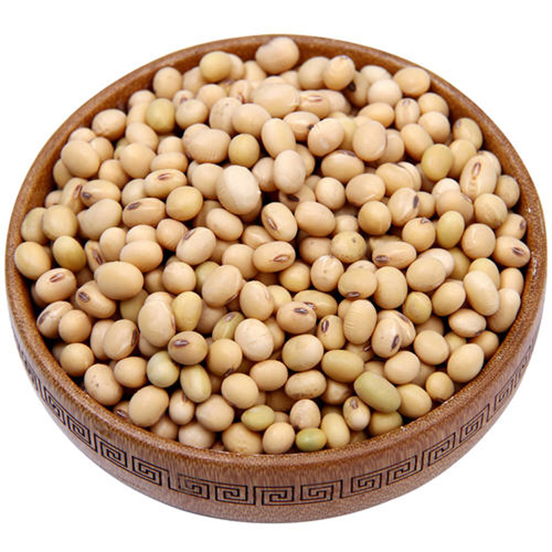 农家自种笨黄豆新大豆非转基因椭圆形老品种土山东打豆浆杂粮五斤