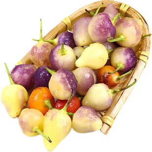 正宗广西五彩椒泡椒种子七彩辣椒种籽四季小灯笼椒种彩椒蔬菜种孑