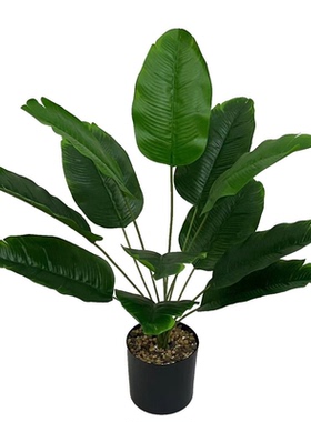轻奢风仿真绿植盆栽小型散尾葵绿萝客厅桌面装饰假花塑料植物摆件