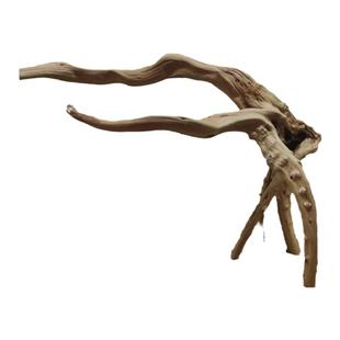 杜鹃根栖根草缸造景沉木水陆缸雨林缸南美缸一木成景爬宠缸莫斯树