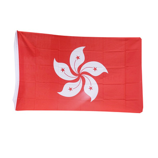 中国香港区旗4号大号香港旗区紫荆花旗不褪色中国香港串旗户外装饰五星红旗3号2号5号四号五号三号旗帜定制