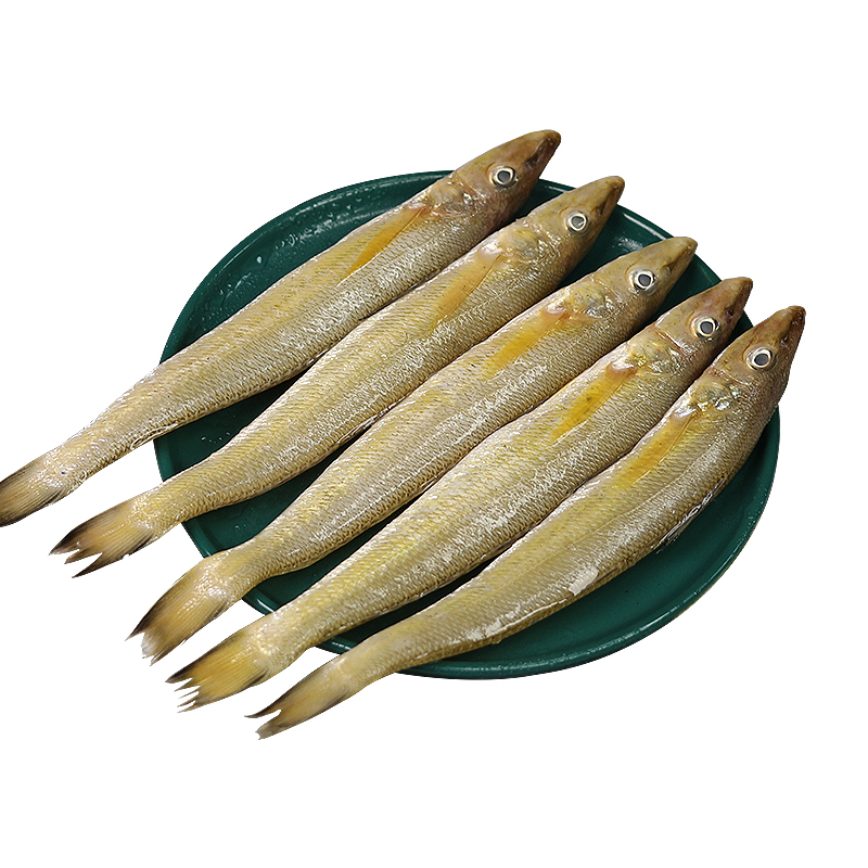 沙丁鱼新鲜鲜活冷冻大沙尖鱼 青岛冷冻海鲜水产深海鱼烧烤食材3斤