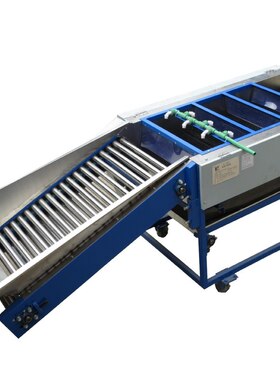 水果清洗设备 提升药液喷淋机械 果蔬水洗喷淋机器 毛刷清洗机