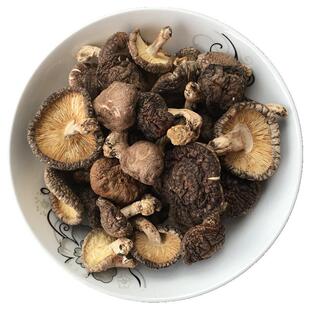 椴木香菇干货500g野外生长小蘑菇湖北特产农家散装香茹大片菇家用