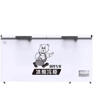 冰熊铜管商用大容量冷冻节能冰柜