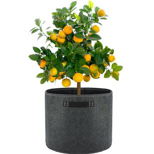 Bloombgz果树种植袋超大加厚种植箱庭院种花美植袋户外种树专用袋