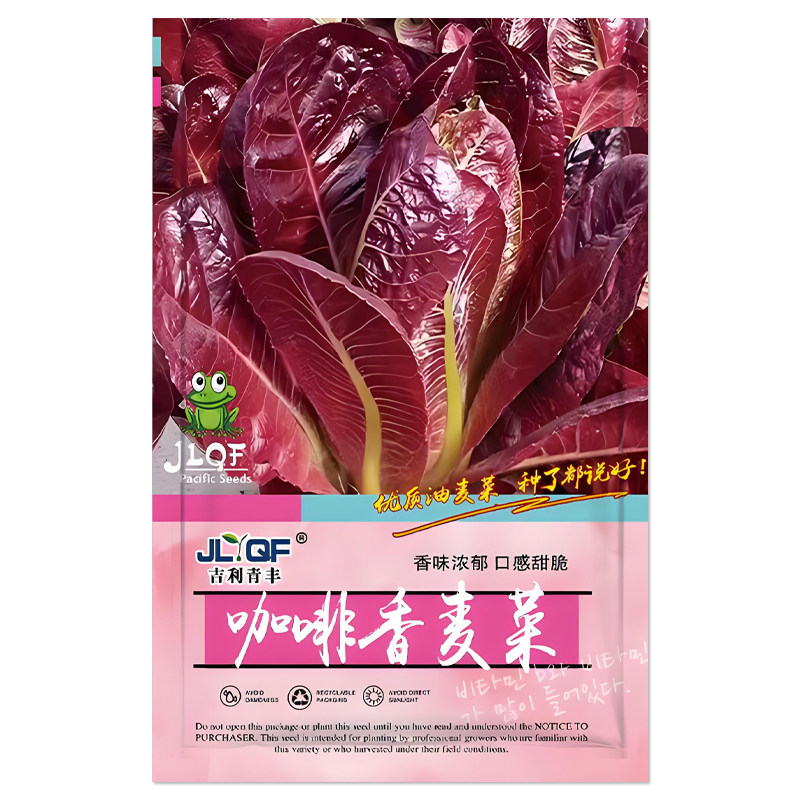 咖啡香麦菜种子生菜孔雀菜