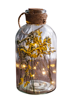 掬涵圣诞装饰发光玻璃桌面摆件小夜灯干花玻璃罩灯饰圣诞节装饰品