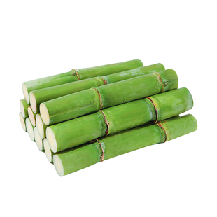 正宗陶山甘蔗绿皮脆皮果蔗温州特产新鲜当季孕妇儿童水果5斤装