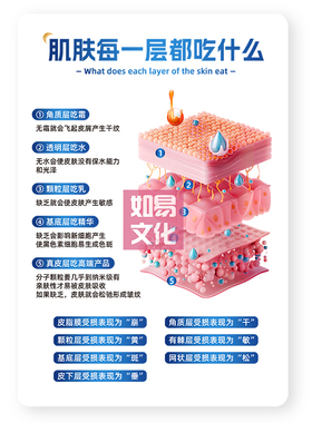 肌肤每层吃什么亚克力摆台