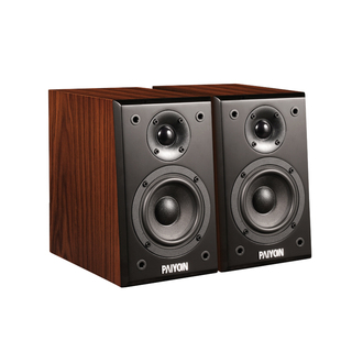 PAIYON派扬Q-1无源音箱  hifi高保真发烧级四寸家用书架小音响