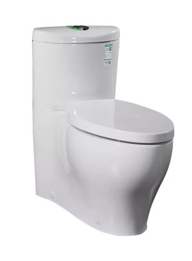 科勒五级旋风马桶坐便器3869