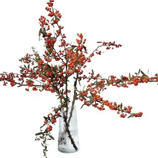 火棘果鲜切枝鲜花云南直发火把果耐养水培鲜切绿植沙棘插花鲜切花