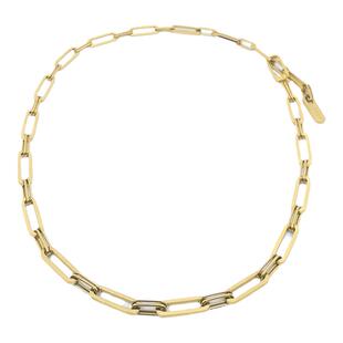 官方ALP JEWELRY早安欧美轻奢小众锁骨链百搭粗链条叠戴项链气质