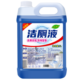 洁厕灵大桶装10斤马桶厕所清洁剂强力除垢去黄清香型除臭洁厕液剂