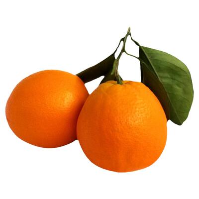 彩箱礼盒装正宗赣南脐橙