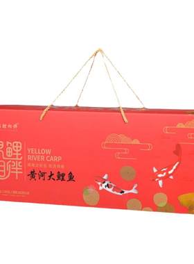 河南黄河大鲤鱼整条礼盒装