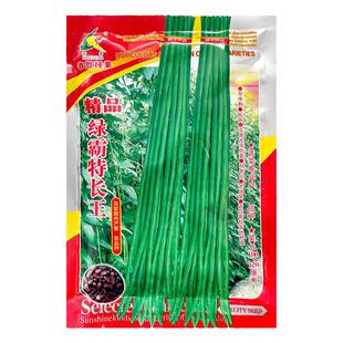长豆角种子苗高产豇豆四季豆蔬菜种籽大全孑子豆种籽种无架芸豆