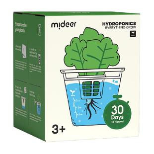 mideer弥鹿水培阳光种植房儿童玩具科学小实验植物生长观察盒