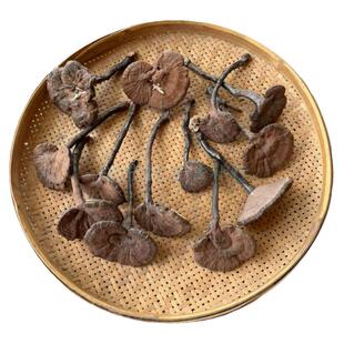 野生紫灵芝正宗梅州林下紫芝愿生态整枝不苦原生态干货500克包邮