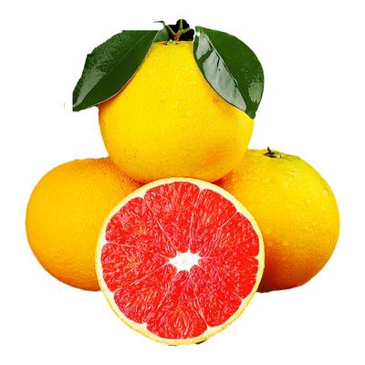 【精选品质】正宗江西赣南血橙！