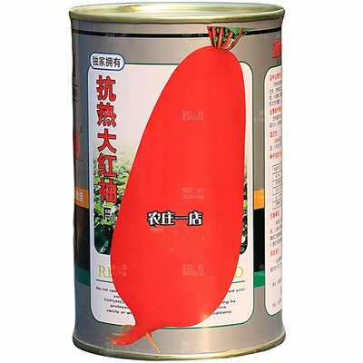 农家红皮白心萝卜种子秋播蔬菜籽
