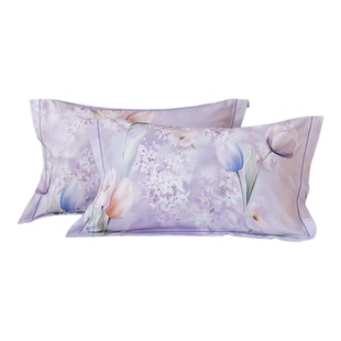 加厚全棉数码印花磨毛枕套一对装田园100纯棉48x74cm成人枕头芯套