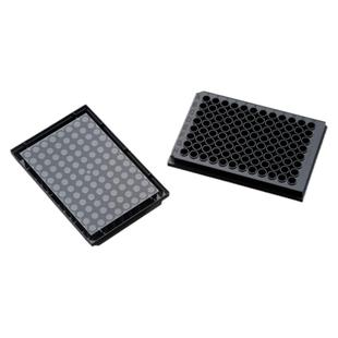 黑色透明底培养板060096康宁3603in vitro scientific Nunc165305