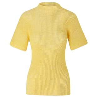 【胡可同款】IIIVIVINIKO夏季新款松身百褶罗纹针织套头衫女