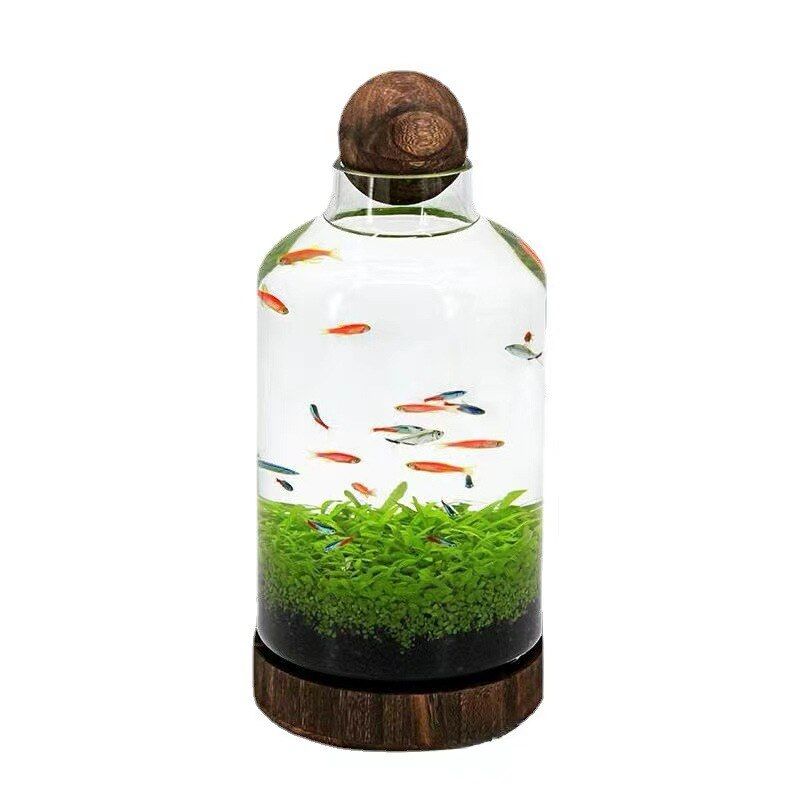 圆形免打理超白玻璃小型鱼缸造景