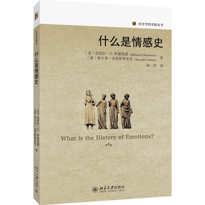 正版什么是情感史北大出版社