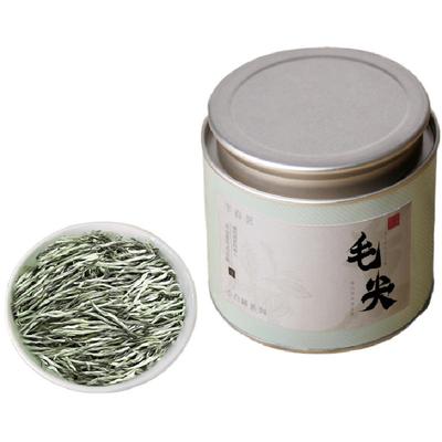 明前绿茶毛尖2024新茶小罐装