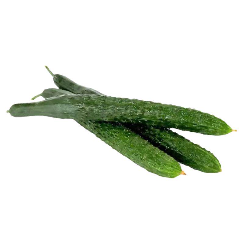 老品种蔬菜种子绿芯黄瓜种子