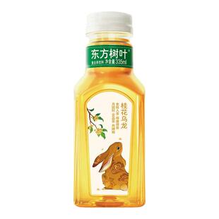 东方树叶桂花乌龙茶限定0脂0糖0卡茶饮品龙井现货原箱送货上门