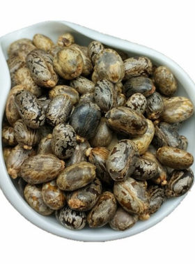 蓖麻子500克包邮 云南大粒新货 蓖麻籽 蓖麻子仁蓖麻子粉蓖麻种子