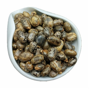 蓖麻子500克包邮 云南大粒新货 蓖麻籽 蓖麻子仁蓖麻子粉蓖麻种子