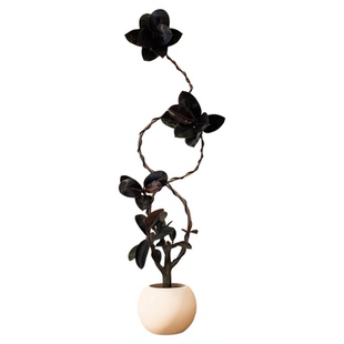 黑金刚橡皮树客厅大盆栽室内大型绿植四季好养阳台办公室高端植物