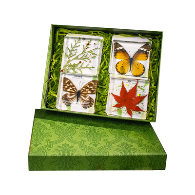 圣诞节日礼物千千谷限定惊喜真实昆虫蝴蝶标本礼盒生日送孩子朋友