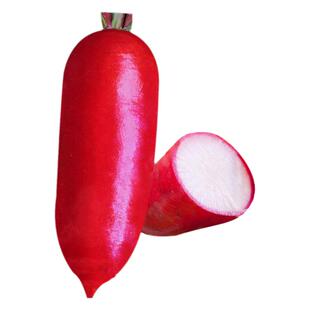 水萝卜种子种籽红皮水果罗卜籽种白心抗热菜种红蔬菜孑子批发种