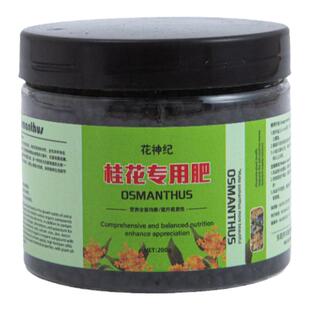 桂花树枯叶干尖枯叶病黄叶焦叶肥料专用肥药营养液黄尖药叶子焦尖