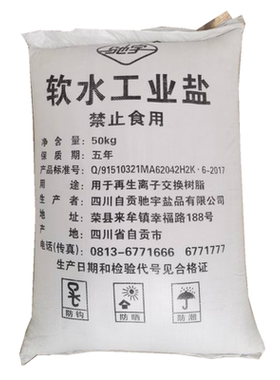 工业盐水产养殖树脂再生锅炉软水