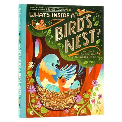 鸟巢的构造绘本图画书