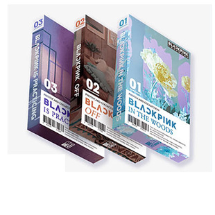 正版 BLACKPINK 粉墨游戏周边 THE GAME PHOTOCARD 小卡明信片QR