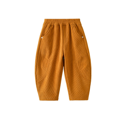 男童冬装加绒裤子2025新款儿童秋冬休闲裤男孩厚长裤灯芯绒弯刀裤