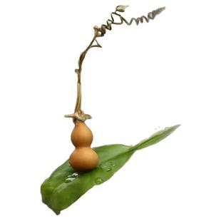 精品天然迷你把玩特小手捻草里金葫芦籽种子文玩小把件胡芦孑挂件