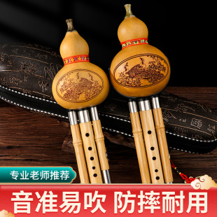 葫芦丝乐器初学者C调降B调F调防摔儿童小学生专用七孔紫竹胡葫丝