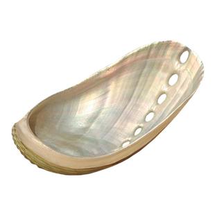 天然海螺贝壳驴耳鲍壳墨西哥鲍鱼壳拍照道具鱼缸造景家居摆件装饰