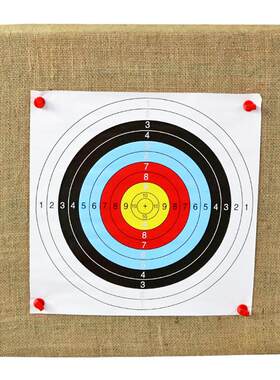 箭靶射击x10户外室内定制用品